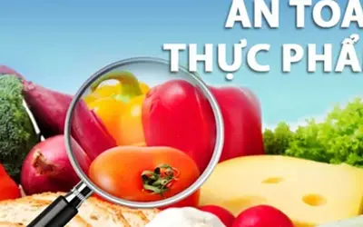 Tiếp tục áp dụng Nghị định 15/2018/NĐ-CP về an toàn thực phẩm cho đến khi có quy định mới