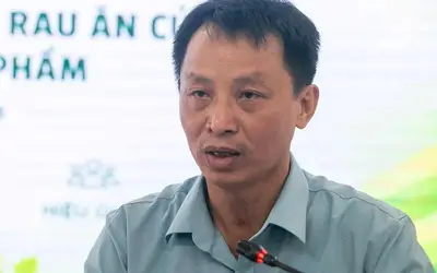 Xây dựng tiêu chuẩn quốc gia mới kiểm soát 3 mối nguy an toàn trong sản xuất rau