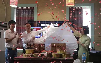 Xu hướng thực phẩm chế biến sẵn: Cân bằng giữa sự tiện lợi và tiêu chuẩn dinh dưỡng hiện đại