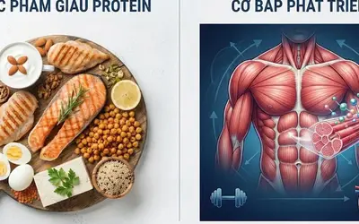 6 tác động quan trọng đối với cơ thể khi tăng cường nạp protein vào chế độ ăn