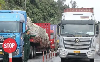 Chính phủ tạm dừng áp dụng Nghị định 46 về an toàn thực phẩm đến hết ngày 15/4/2026