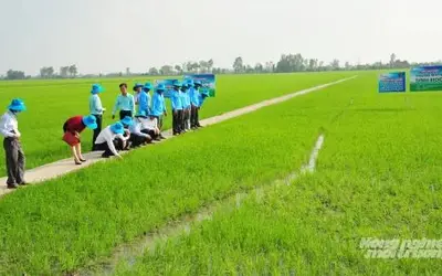 Three Major Barriers in the Transition to Organic and Circular Agriculture