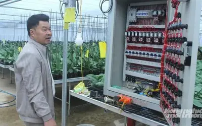 The Journey of High-Tech Agricultural Entrepreneurship Inspired by Real Life