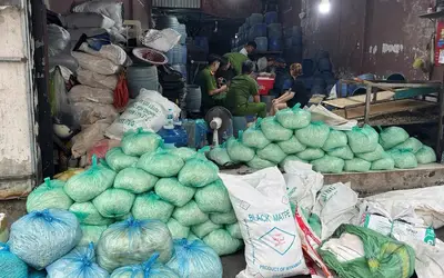 Four individuals prosecuted in Ho Chi Minh City for producing over 1,000 tons of bean sprouts using hazardous chemicals