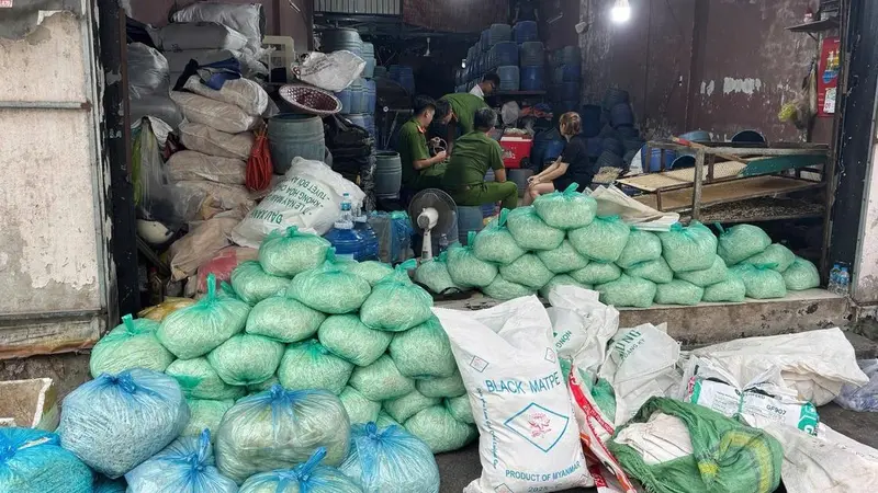 Four individuals prosecuted in Ho Chi Minh City for producing over 1,000 tons of bean sprouts using hazardous chemicals
