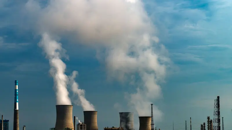 EFSA confirms health concern from dietary exposure to dioxins and dioxin-like PCBs in Europe